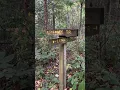 Download Lagu Touch the Earth Natural Area is a must see trail in Columbus, IN 📍
