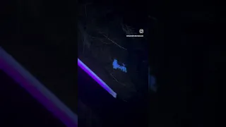 Adventure #17 of 57 – Armed with a blacklight, I’m on the hunt for these Scorpions