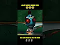 Download Lagu JARJIT COSPLAY KAMEN RIDER💀☠️☠️ #masker #jarjit #upinipin #kamenrider #memes #funny #shorts #foryou
