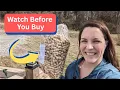 Raw Peanuts for Squirrels and Birds 5lbs Review - Watch Before You Buy