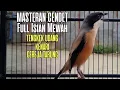 Lagu MASTERAN BURUNG CENDET SUARA JERNIH TAJAM FULL ISIAN KENARI TENGKEK UDANG GEREJA TARUNG