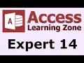 Microsoft Access Expert Level 14 - Introduction