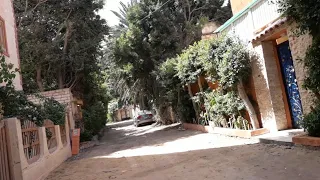 شوارع بيانكى البيطاش العجمى جولةفى شارع ١٣ بكل تفاصيله لكل إلا عايز يستمتع بجمال الطبيعةآخر الفيديو دندنها