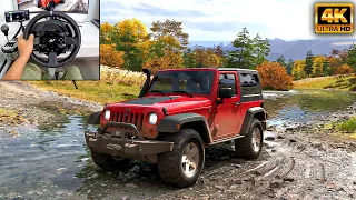 Jeep Wrangler Rubicon | Offroading | Forza Horizon 6 | Thrustmaster T300RS gameplay