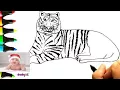 How to Draw a Tiger and coloring with colored - Tiger Coloring Pages 95