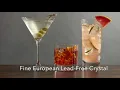 Mikasa Cheers White Wine Glasses 4 Count Pack of 1 Clear
