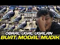 Lagu JUAL MUMET ! SISA 500 EKOR BURCIL OMBYOKAN DIJUAL HABIS HABISAN HARI INI BUAT MODAL MUDIK