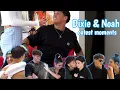 Dixie D amelio Noah beck Cutest moments