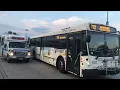 Jitney New Jersey Transit Bus Action at Garden State Plaza