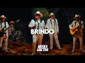 Brindo, Tus Mentiras 🍻 Herencia de Grandes, Moy Bobadilla 🍻MIX/RECOPILACION🍻