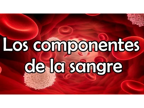 Download MP3 Los componentes de la sangre