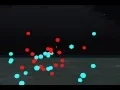 Newtonian N Body OpenSim Demo
