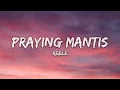 Reble - Praying Mantis (Lyrics)