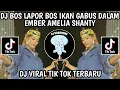 Download Lagu DJ AMELIA SANTY BOS LAPOR BOS || GARAM CINA |AMELIA SANTY BELI BODREXIN VIRAL TIKTOK