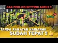 Lagu CIRI CIRI MURAI BATU SIAP LOMBA KETIKA DIRUMAH ‼️