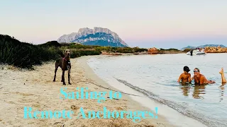 Episode 236 – Boat Life – Busy Day Aboard Pickle!