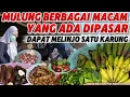 Download Lagu Mulung berbagai macam sayur \u0026 buah yg ada dipasar,dapat melinjo satu karung 