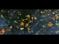 Jeremy Soule — “Fall” [“Forest Fall” Skyrim Explore Sound Palettes]