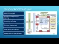 GIN450-Parallel Processing Final Project