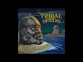 Moonlight (432 Hz) - Tribal Seeds