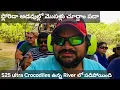 Download Lagu Florida Everglades national park, Boat riding in crocodiles river, Exploring wildlife in USA