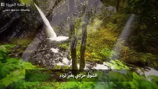 قصيدة غازلتها فتبسمت دندنها