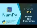 Belajar NumPy Python Data Analisis - Invers dan Determinan