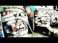 Download Lagu egyptian...Rise from the death PESONA GONDANGLEGI 2018