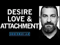 Download Lagu The Science of Love, Desire and Attachment