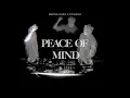 Martin Garrix \u0026 Citadelle - Peace Of Mind (Official Video)