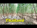 Download Lagu Sa Kaeo, Thailand 🇹🇭 | Pang Sida National Park | SaKaeo Waterfalls  and Butterflies 🦋