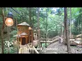 The Hemlock Treehouse Hocking Hills Treehouse Cabins