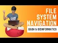 A Biologist s Guide to Unix File System Navigation Bash Essentials for Bioinformatics BEB