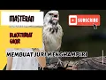 Download Lagu Blackthroat Gacor masteran murai batu #muraibatu #burungmurai #masteran #blackthroat #fanskicau