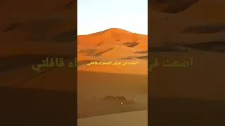 اضعت في عرض الصحراء قافلتي  اضعت في عرض الصحراء قافلتي