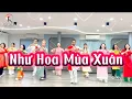 Download Lagu Như Hoa Mùa Xuân Remix | Bài Tết 2024 | Kalyan Zumba Dance Fit Vietnam |