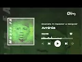 Download Lagu MwanaFA Feat. Inspector Haroun \u0026 Ngwair - Aminia (Official Audio)