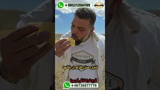 شراسة النحل اثناء جني العسل لسع النحل من فوق بدلة النحل عسل اوروبا المانيا تركيا غذائيات المونة 