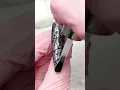 Enchanting Elegance Black Lace and Laser Nails