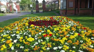 Holly Quran Nice Recitation قاری بلال دربالی 