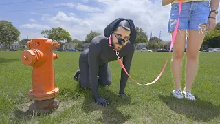 i wanna be a dog