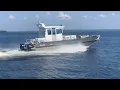 ALUCAT W35 Catamaranboat