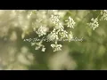 Download Lagu gavn! - one day you're gone (Official Lyric Video)