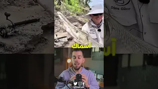 السمكة الحديدية 