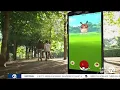 Expert explains how Pokemon Go s data collection is helping create AI map models