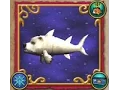 Going on a Fish Hunt I caught a Polar Bear Acuda and more
