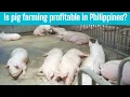 Is pig farming profitable in Philippines