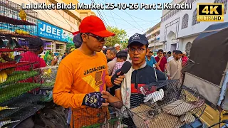 Lalukhet Birds Market 25-10-26 Part 2 Karachi | Unique Birds Teeter Cocktail, Pigeons, Java Birds