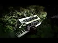 Malfet - Lost in Shadow, We Sought Your Radiance | Merengések: Ive Hasivald vándorlásai