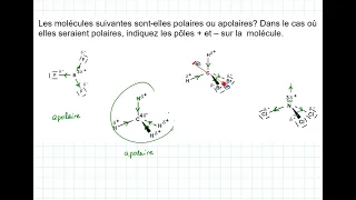 1E4Aa Polarité Des Molécules Exemple D Exercice Avec Sa Résolution 